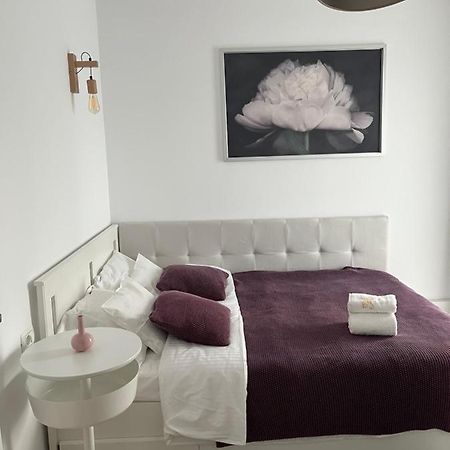 Alma Apartments Suceava Eksteriør billede