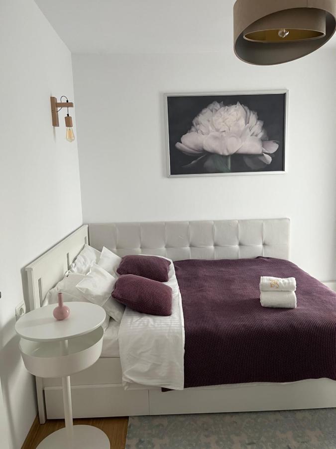 Alma Apartments Suceava Eksteriør billede